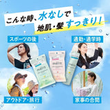 Kao花王Merit头发清洁免洗湿巾水蜜桃皂香 12枚