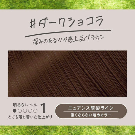 Kao花王Liese泡沫染发剂黑发用黑巧克力 115ml