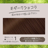 Kao花王Liese泡沫染发剂黑发用黑巧克力 115ml
