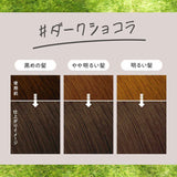 Kao Liese Creamy Bubble Hair Color Dark Chocolate 115ml