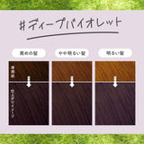 Kao Liese Creamy Bubble Color Hair Dye Deep Violet 115ml