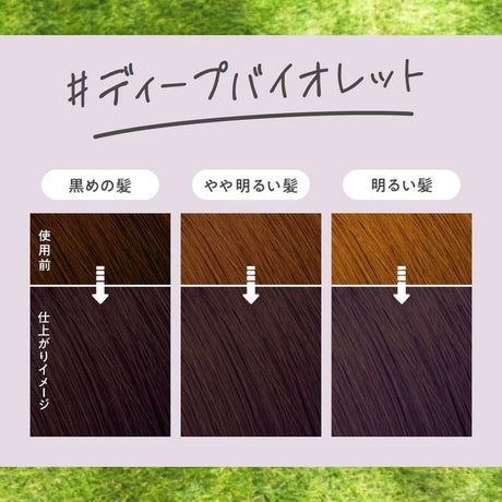 Kao Liese Creamy Bubble Color Hair Dye Deep Violet 115ml