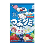 Kasugai春日井乳酸菌果汁味豆豆糖 75g