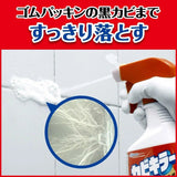 Johnson庄臣除霉菌喷雾 400g
