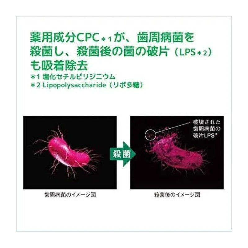Sunstar巧虎GUM牙周护理牙膏清洁除菌清爽款