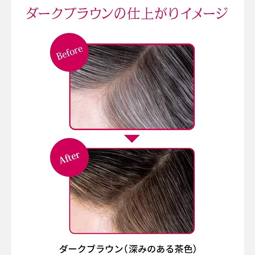 Shiseido Prior Color Conditioner Dark Brown 230g