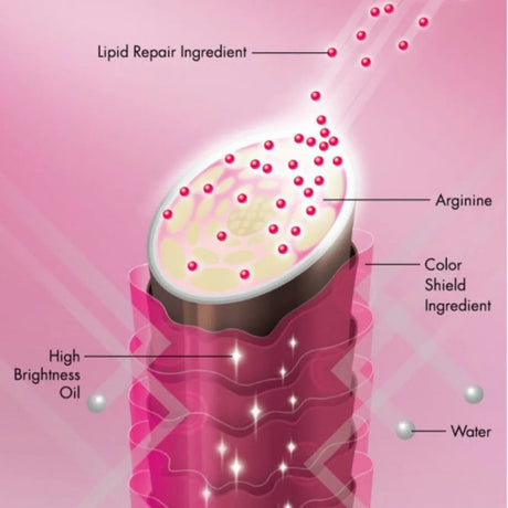 Shiseido资生堂沙龙Luminoforce系列护色锁色洗发水染后发质 500ml
