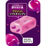 UHA Puccho Stick Candy Grape 50g