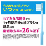 Lion狮王月子护理牙刷超软细毛孕妇牙刷随机颜色 1支