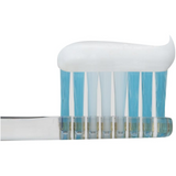 Lion狮王酵素护齿牙膏清新口气去牙渍温和薄荷 130g