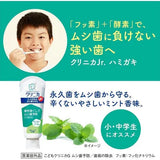 Lion狮王中小学生指定换牙期专用牙膏防蛀固齿温和薄荷 60g