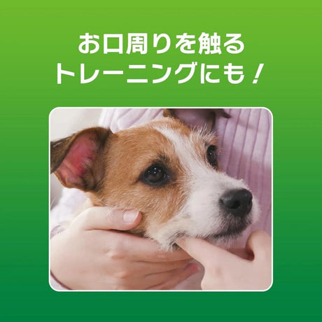 Lion Petkiss Pet Toothpaste Chicken Flavor 40g