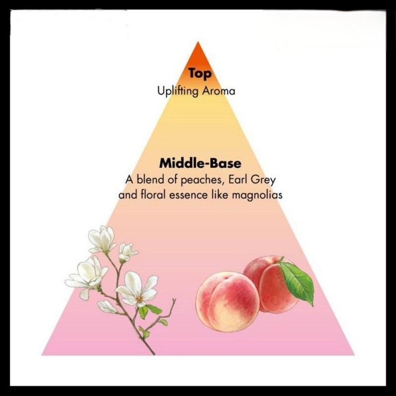 Shiseido Sublimic Airy Flow Shampoo Unruly Hair 1000ml