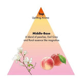 Shiseido Sublimic Airy Flow Treatment Unruly Hair 1000ml