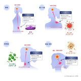 Eve A Pain Relieve Tablets 24pcs