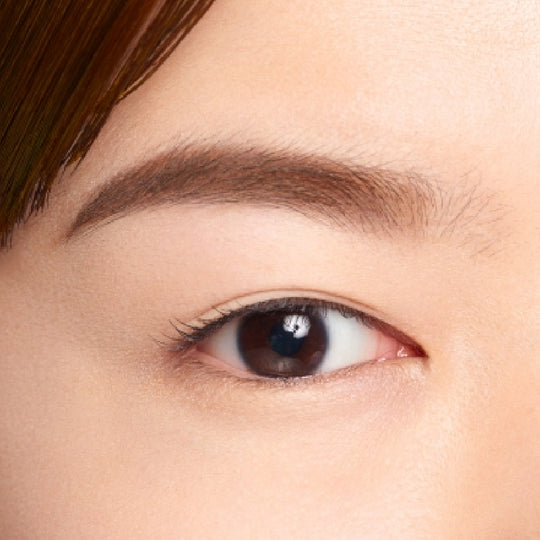 Shu Uemura H9 Hard Formula Eyebrow Pencil #06 Acorn