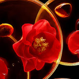 Shu Uemura植村秀臻萃养肤洁颜油琥珀卸妆油清洁 450ml