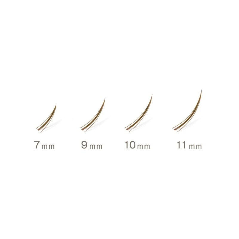DUP Quick Extension False Eyelashes #04 A-Type Brown