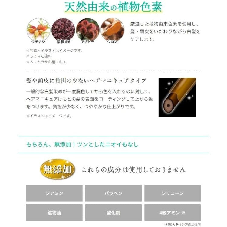 Hidaka Konbu Point Gray Hair Concealer Stick Dark Brown 20g