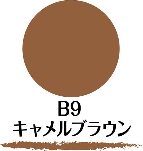 Sana 3 in 1 W Brow EX Eyebrow Pencil with Powder and Brush #B9 Camel Brown