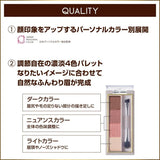 Excel Color Edit Powder Brow #EP02 Summer Nectar