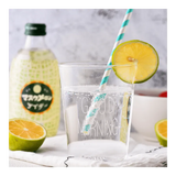 Tomomasu Carbonated Drink Muskmelon 300g