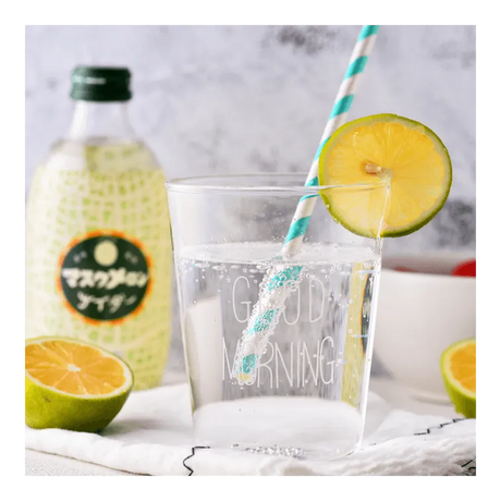 Tomomasu Carbonated Drink Muskmelon 300g