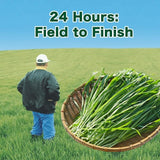 Yamamoto大麦若叶青汁维生素膳食纤维