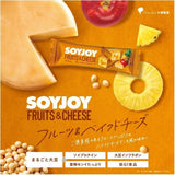 Soyjoy大冢制药大豆果滋棒水果烤起司味 30g