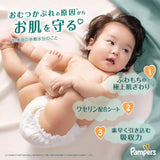 Pampers帮宝适一级帮拉拉裤L码(9-14KG) 44枚