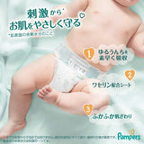 Pampers帮宝适一级帮拉拉裤增量版M 56枚