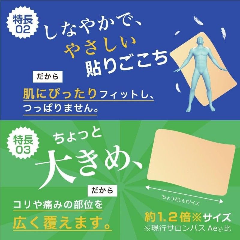 Hisamitsu Salonpas Plaster 80pcs