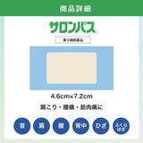 Hisamitsu Salonpas Plaster 80pcs