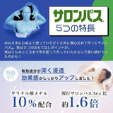 Hisamitsu Salonpas Plaster 80pcs