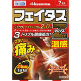 Hisamitsu Pharmaceutical Fatus Zα Nexus Warmth 7pcs