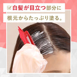 Hoyu Cielo Hair Color EX Cream #4A Ash Brown