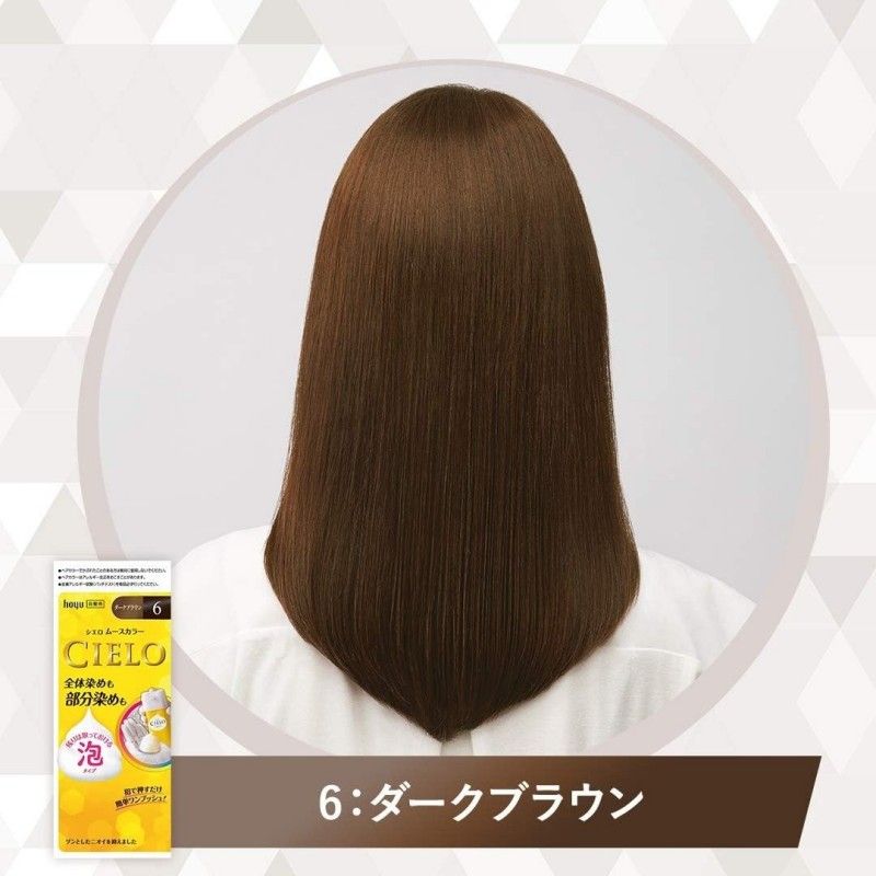 Hoyu美元宣若泡沫植物染发剂#6深栗棕