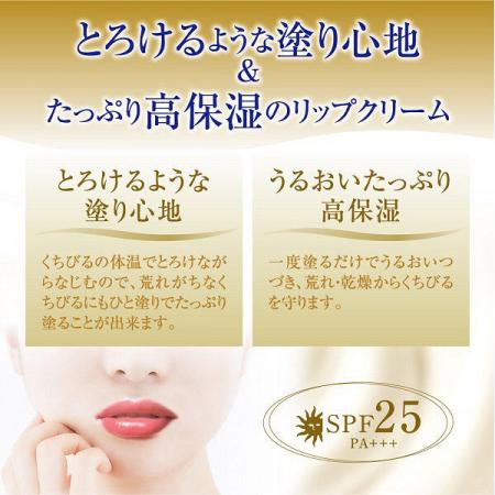 Rohto Mentholatum Melty Cream Lip Milk Vanilla 2.4g