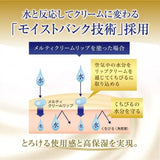 Rohto Mentholatum Melty Cream Lip Balm Rich Honey 2.4g