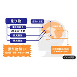Aneron白兔牌晕船晕车药 10粒