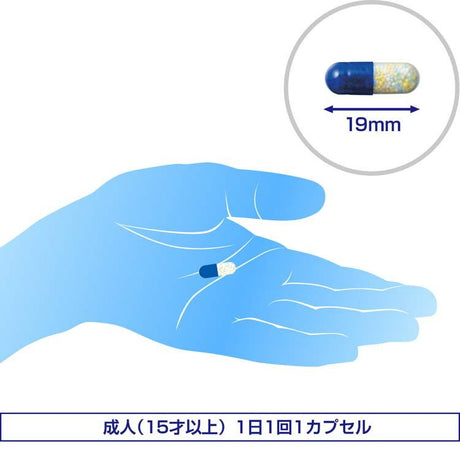 Aneron白兔牌晕船晕车药 4粒