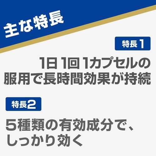 Aneron白兔牌晕船晕车药 10粒