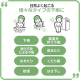 Taisho Biofermin Antidiarrheal 6pcs