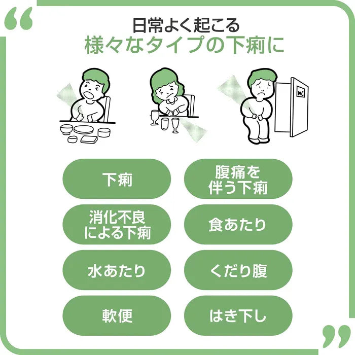 Taisho Biofermin Antidiarrheal 6pcs