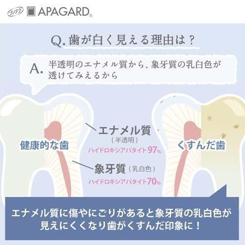 Apogard Toothpaste Smoker Care 105g