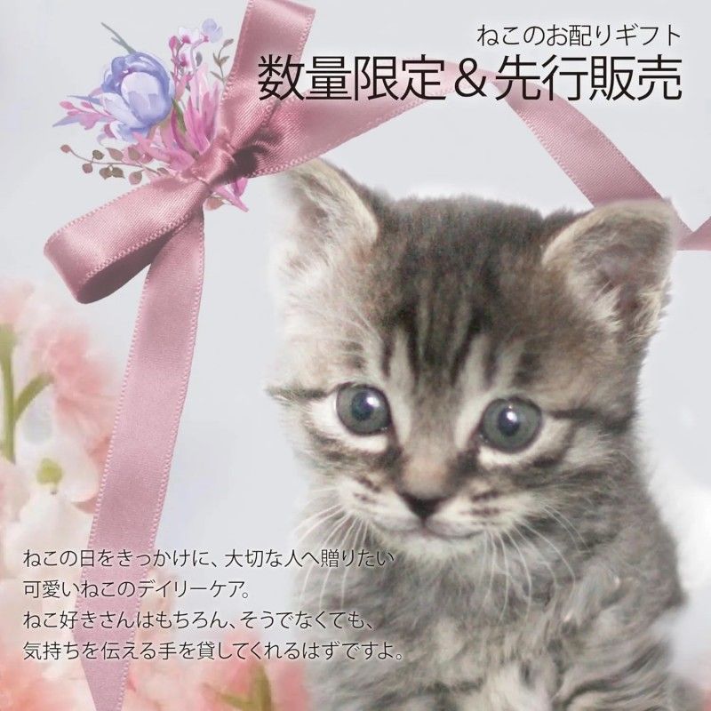 Honyaradoh Hot Eye Care Mask Cute Cat Lavender Scent 3pcs
