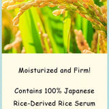 Ishizawa Lab石泽研究所大米面膜毛穴抚子补水滋润净透 10片