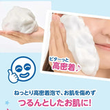 Ishizawa Lab石泽研究所透明白肌净白洗面乳 100g