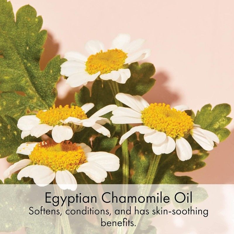 Eve Lom伊芙珑经典洁颜霜卸妆膏 100ml