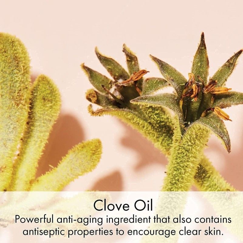 Eve Lom伊芙珑经典洁颜霜卸妆膏 100ml